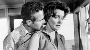 原野铁汉 photo