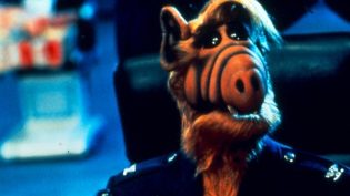 Project: ALF photo