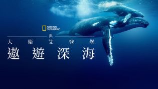 大卫·爱登堡：海洋 photo