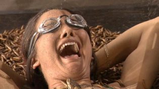 Fear Factor photo