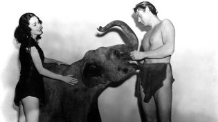 Tarzan Finds a Son! photo