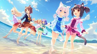 猫娘乐园 photo