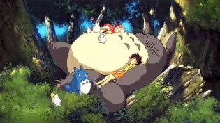 龙猫 photo