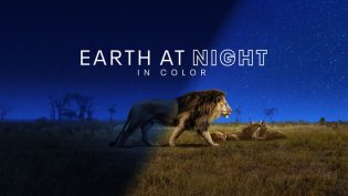 Earth at Night in Colour photo
