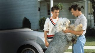 The Shaggy Dog photo