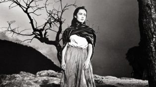 马卡里奥 photo