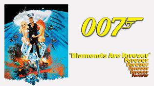 007：金刚钻 photo