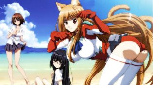 玩伴猫耳娘 photo