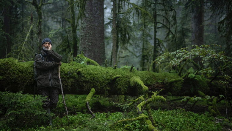 Le Chant des forêts photo