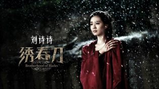 绣春刀 photo