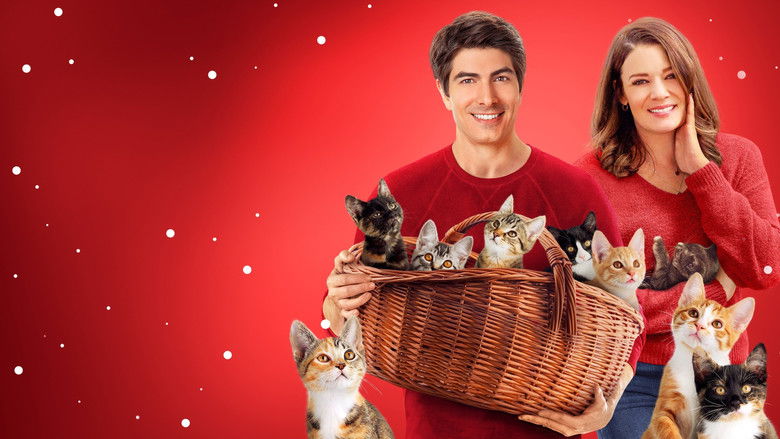 The Nine Kittens of Christmas photo