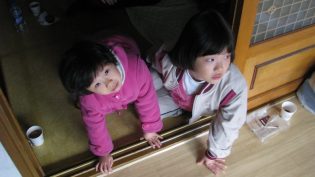 无树之山 photo