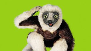 Zoboomafoo photo