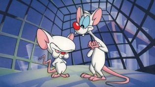 Pinky and the Brain photo