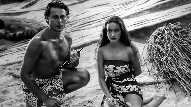 飓风 photo