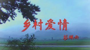 乡村爱情 photo