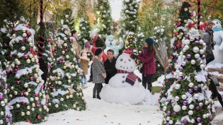 Christmas at Dollywood photo