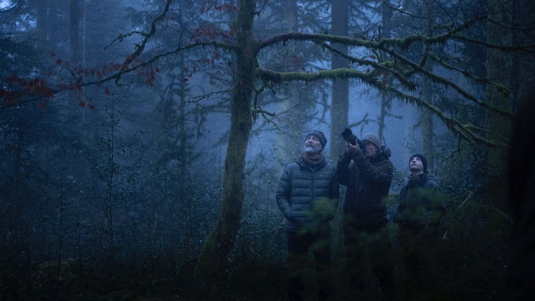 Le Chant des forêts photo