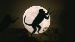 与古兽同行 photo