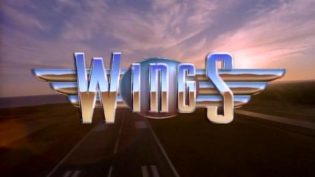 Wings photo