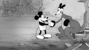 Mickey's Kangaroo photo