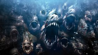 食人鱼3DD photo