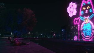凯特 photo