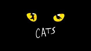 猫 photo
