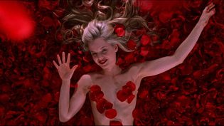 美国丽人 photo