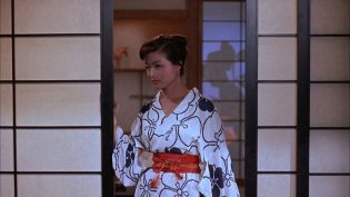 艺妓男孩 photo