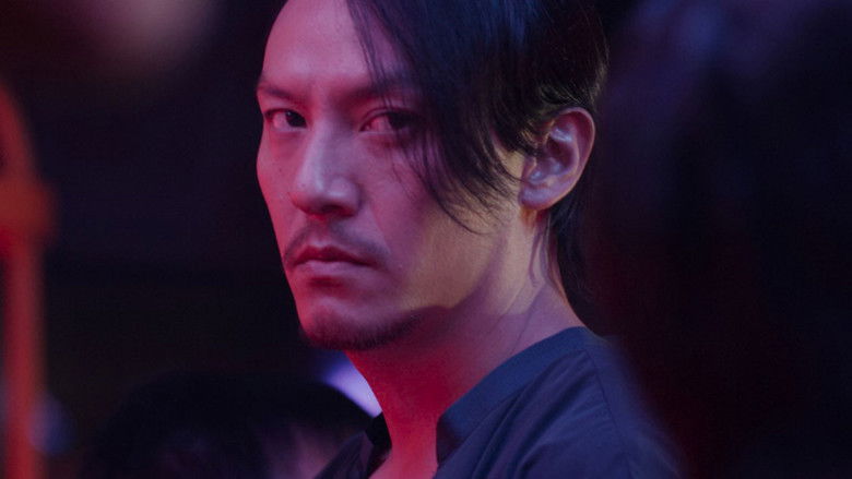 龙先生 photo