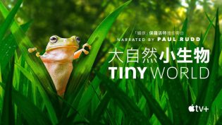 Tiny World photo