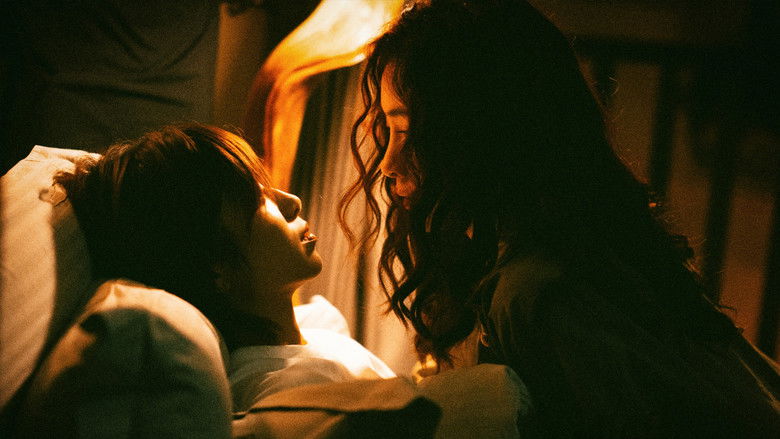 临暗 photo