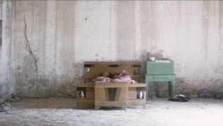 天地悠悠 photo
