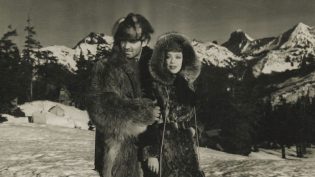 野性的呼唤 photo