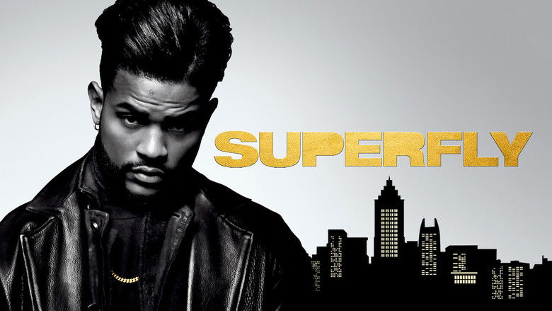 超级苍蝇 photo