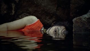 我要复仇 photo