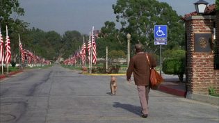 三个愿望 photo