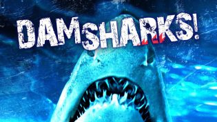 Dam Sharks! photo