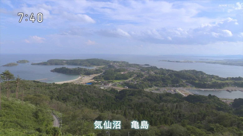 欢迎回来 百音 photo