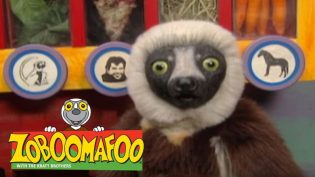 Zoboomafoo photo
