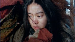 龙卷风 photo