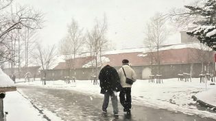 你确定吗？！ photo