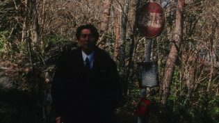 超凡神树 photo