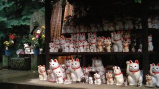 日月无光 photo