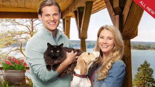 Like Cats & Dogs photo