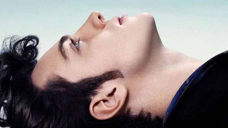 无处的男孩 photo