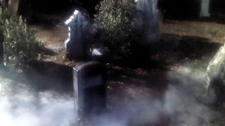 活死人归来2 photo