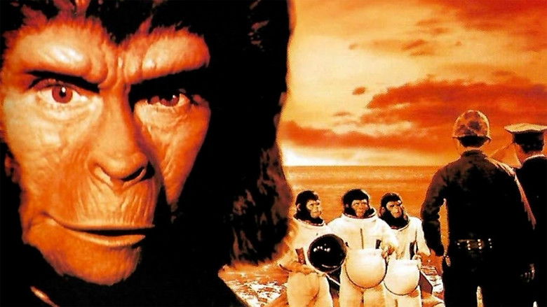 逃离猩球 photo