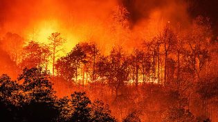 火海逃生 photo